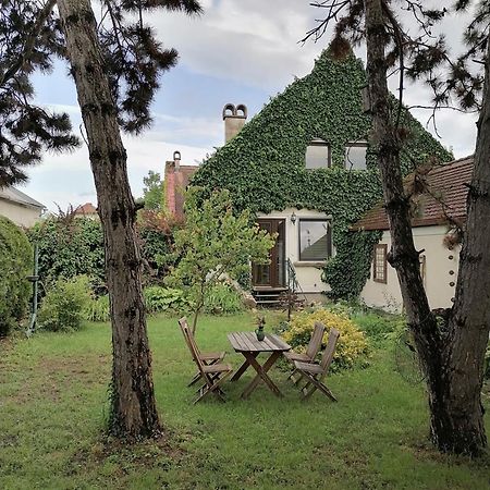 Gartenapartment Storchenblick Weiden am See Exteriör bild