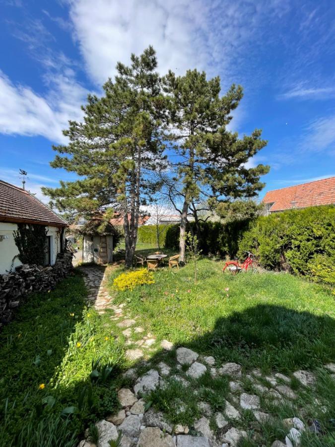 Gartenapartment Storchenblick Weiden am See Exteriör bild